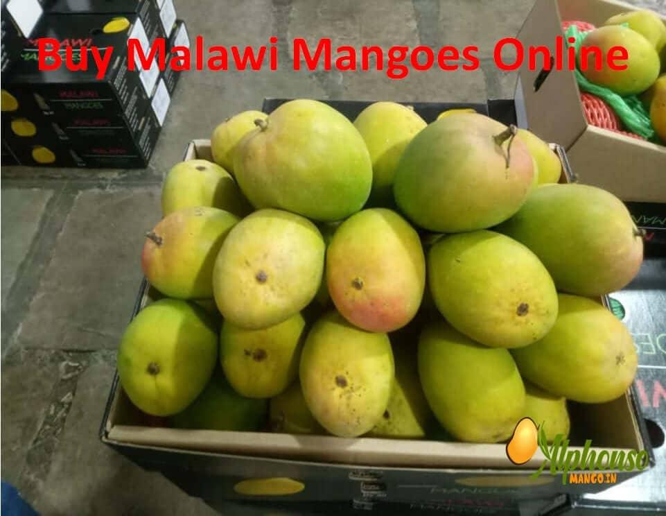 Malawi Mango - Buy Malawi mangoes online. - AlphonsoMango.in