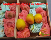 Thumbnail for Buy Malawi mangoes