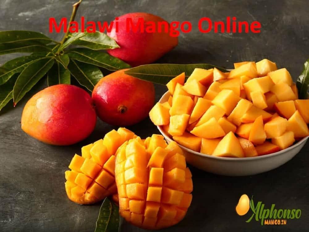 Imported Mango