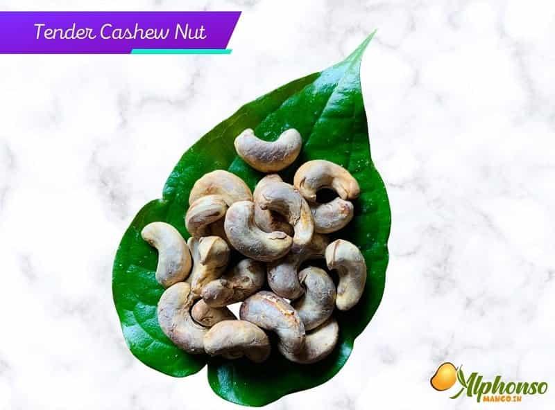 Ole Kaju | Fresh Cashew | Sun Dried - AlphonsoMango.in