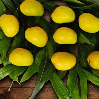 Original Devgad Alphonso Mango (Export Quality Devgad Hapus) Order Now - AlphonsoMango.in