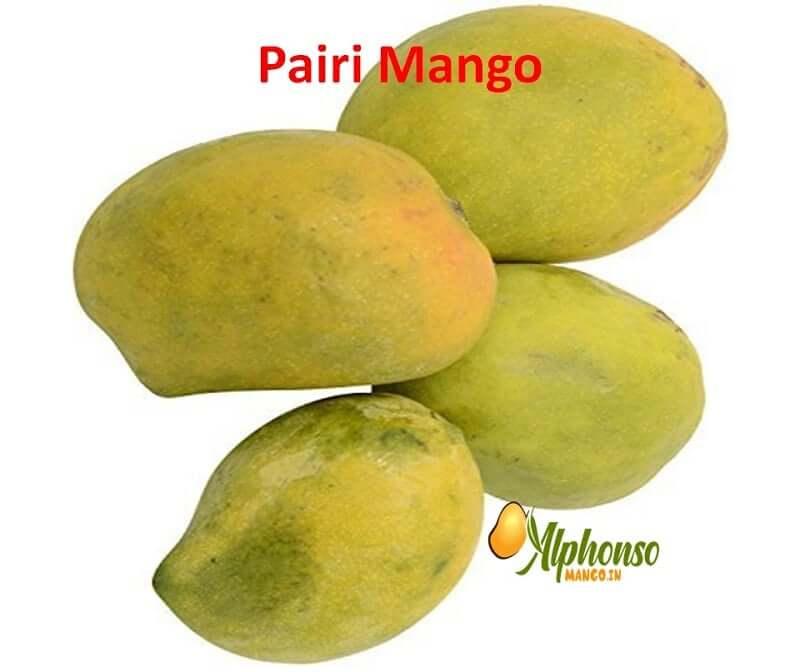 Pairi Mango - Payari Mango - AlphonsoMango.in