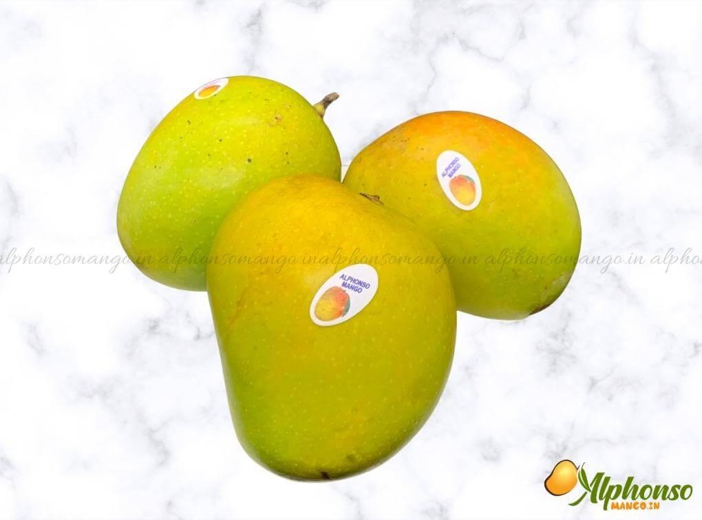 Premium Quality Salem Mango Online - AlphonsoMango.in