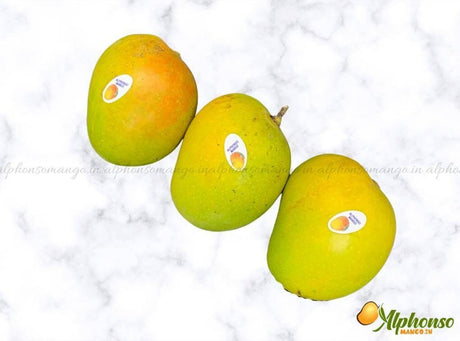 Premium Quality Salem Mango Online - AlphonsoMango.in