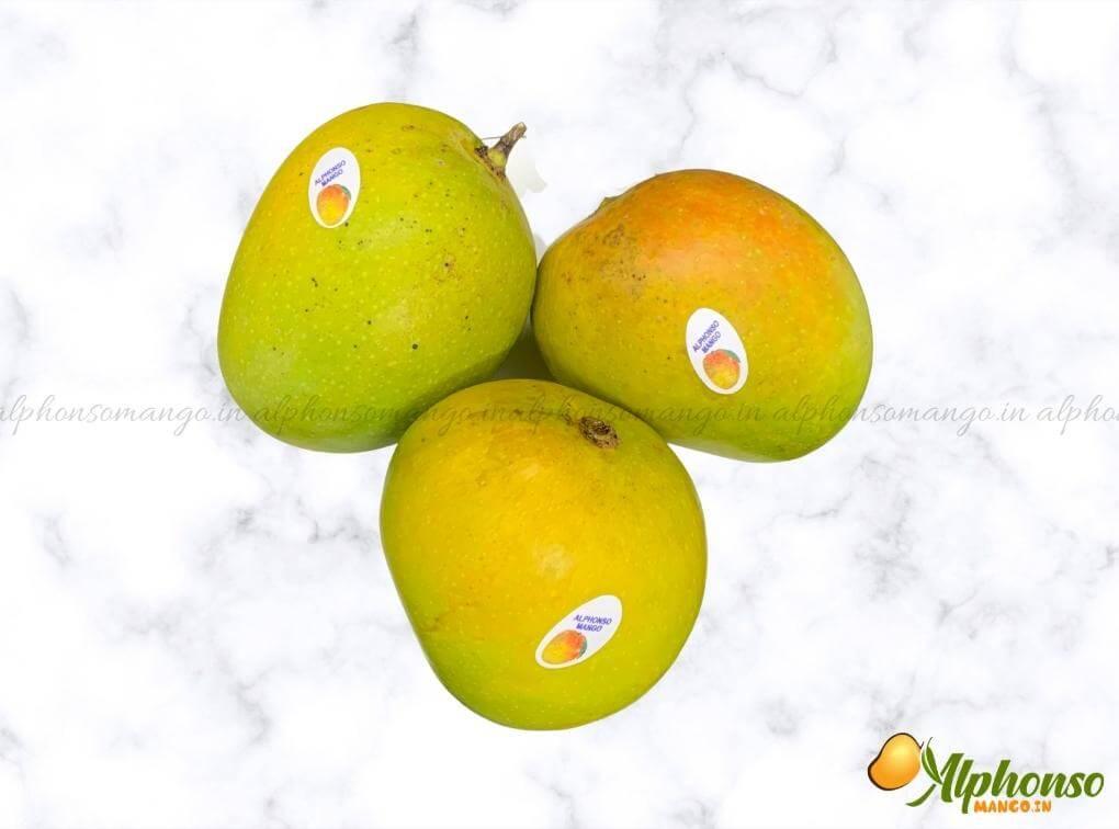 Premium Quality Salem Mango Online - AlphonsoMango.in