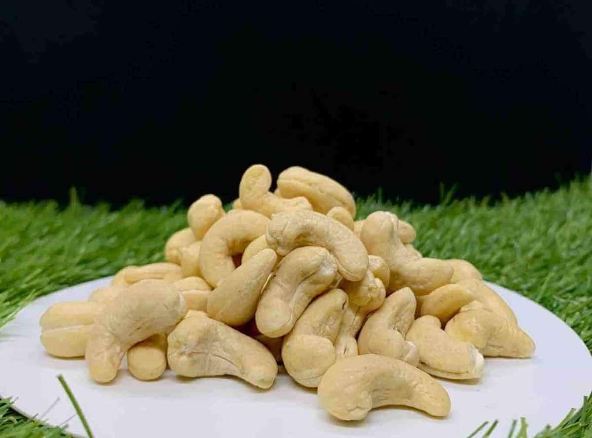 Regular Cashew Nut W320: The Ideal Snack for Any Occasion - AlphonsoMango.in