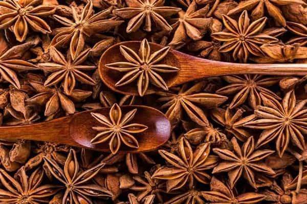 Star Anise | Chakra Phool buy Now Online with us - AlphonsoMango.in