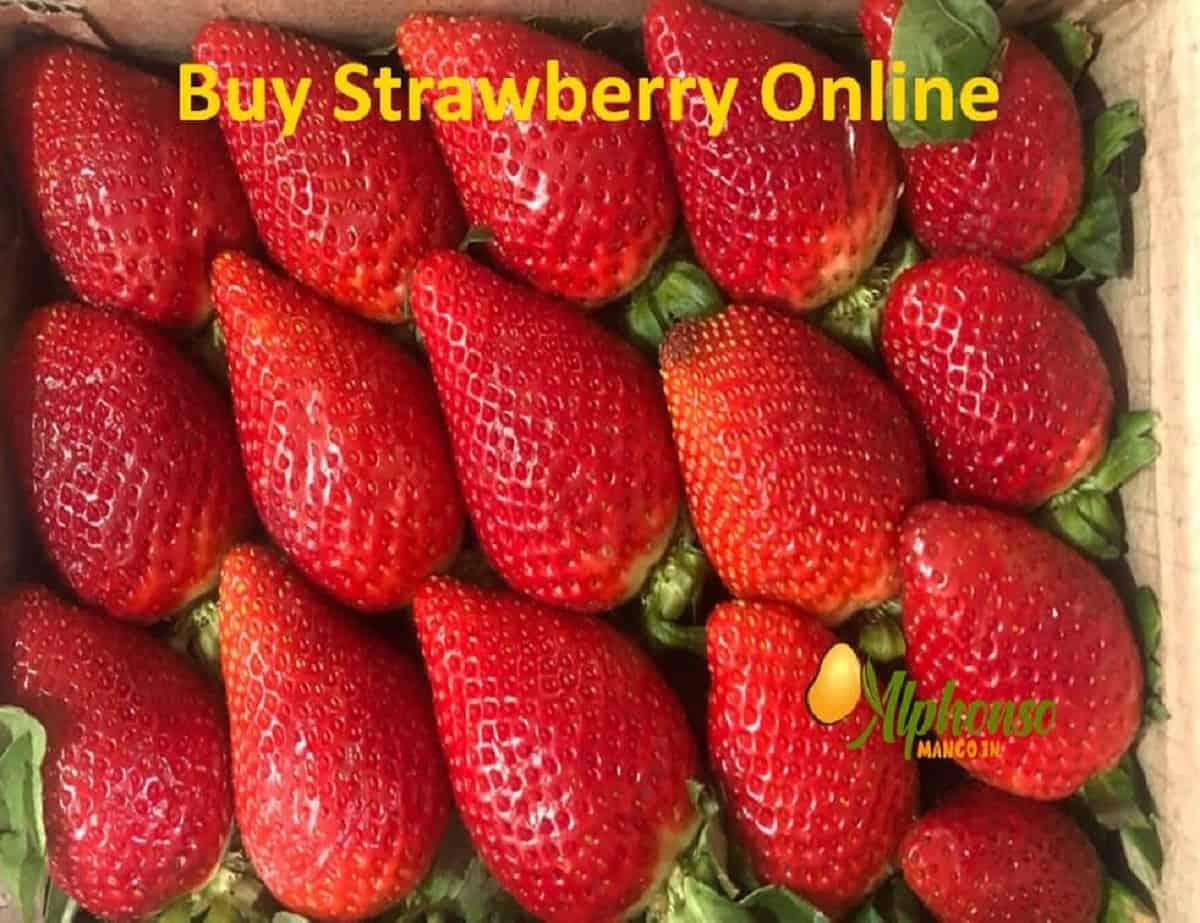 Strawberry Buy Online | Mahabaleshwar Strawberry - AlphonsoMango.in