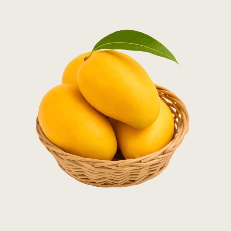 Test mango - AlphonsoMango.in